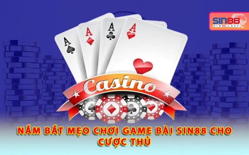 nam-bat-meo-choi-game-bai-sin88-cho-cuoc-thu