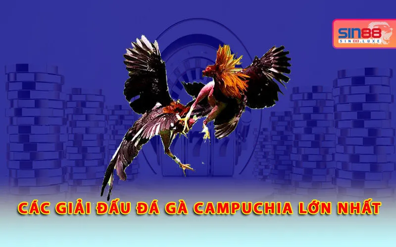 cac-giai-dau-da-ga-campuchia-lon-nhat