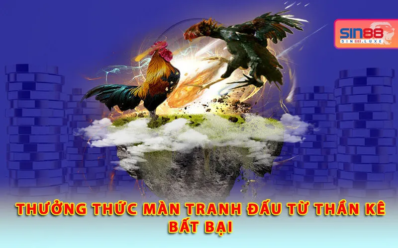 thuong-thuc-man-tranh-dau-tu-than-ke-bat-bai